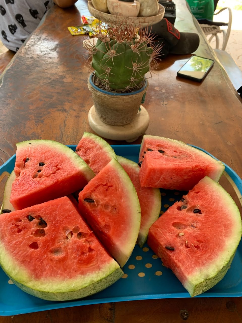 Slices of watermelon served cold